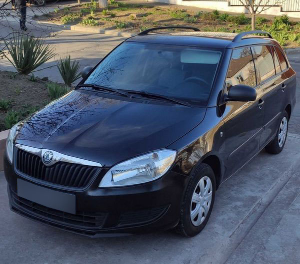 skoda fabia 2010